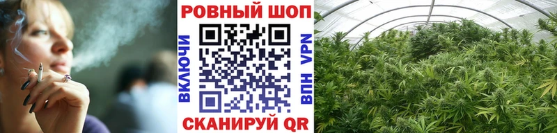 Наркошоп купить СК  Псилоцибиновые грибы  Амфетамин  ГАШИШ  Меф  Санкт-Петербург