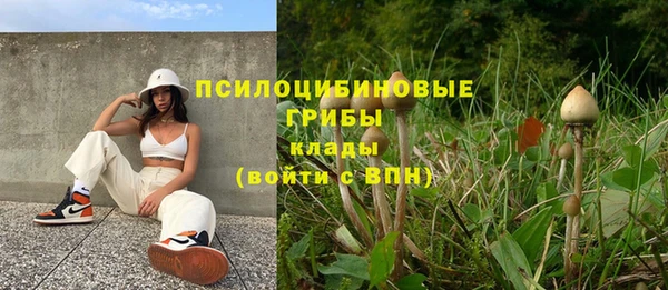 прущая мука Богородск
