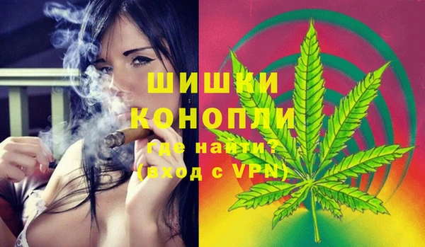 тгк Богородицк