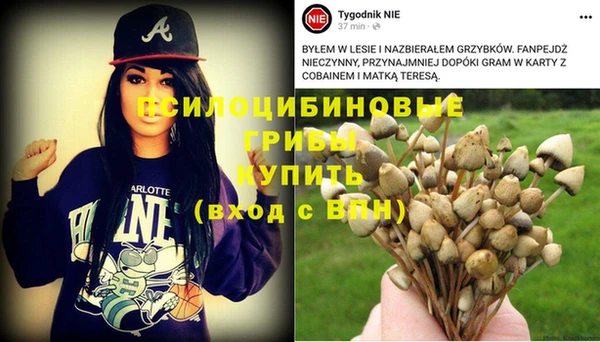 тгк Богородицк